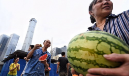 朝阳群众爆料吃瓜事件,吃瓜事件背后的真相与热议